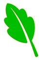 Green Cleaning Solutions Icon Green Cleaning Solutions Icon